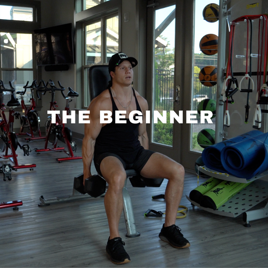 THE BEGINNER